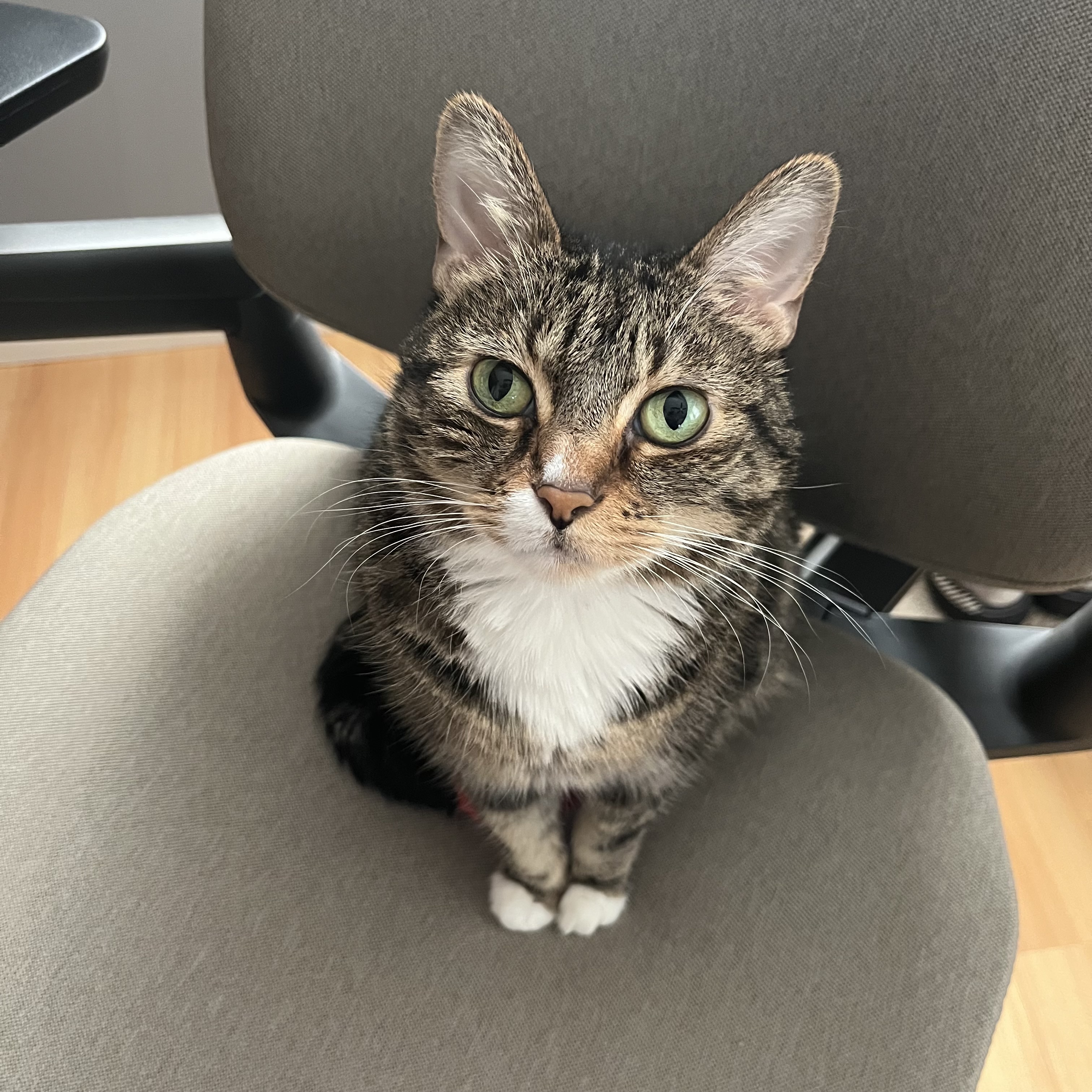 NANCY Platform Dashboard - Enterprise Command Center