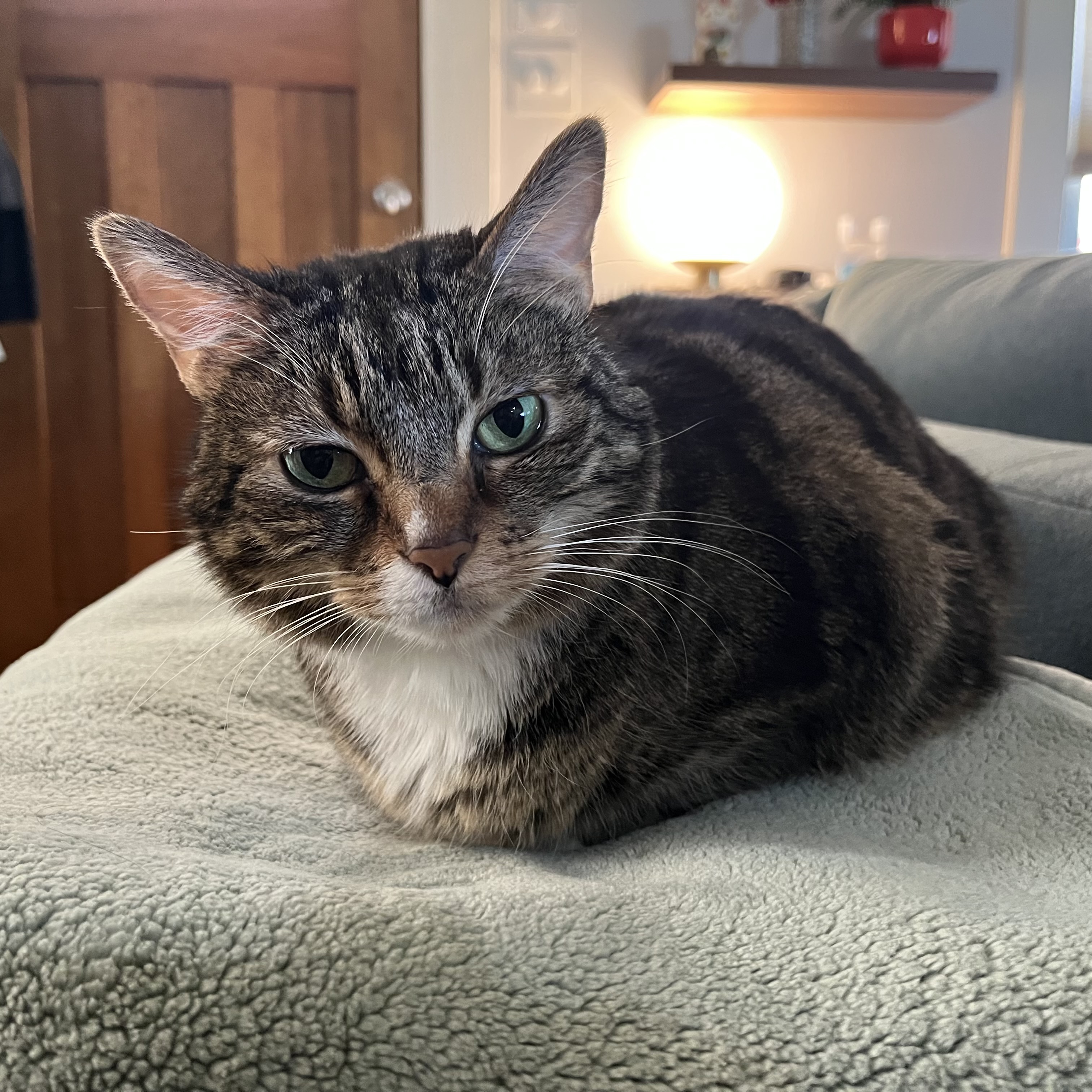 Portrait of the VP of Strategy at Omnidyne Group