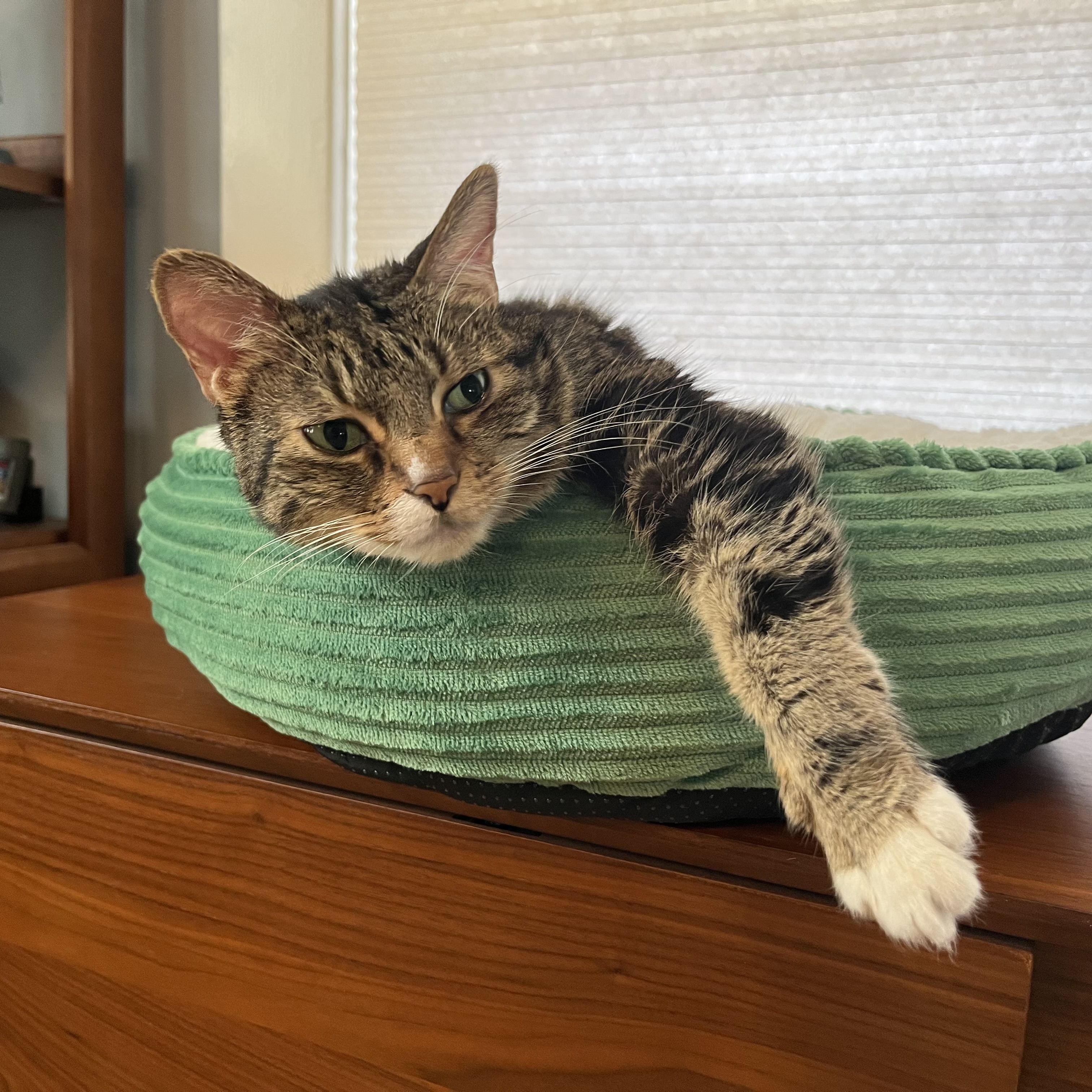 NANCY Work-Life Balance Analytics Dashboard